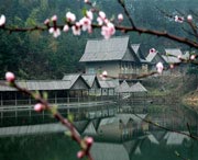 浠水天气预报15天